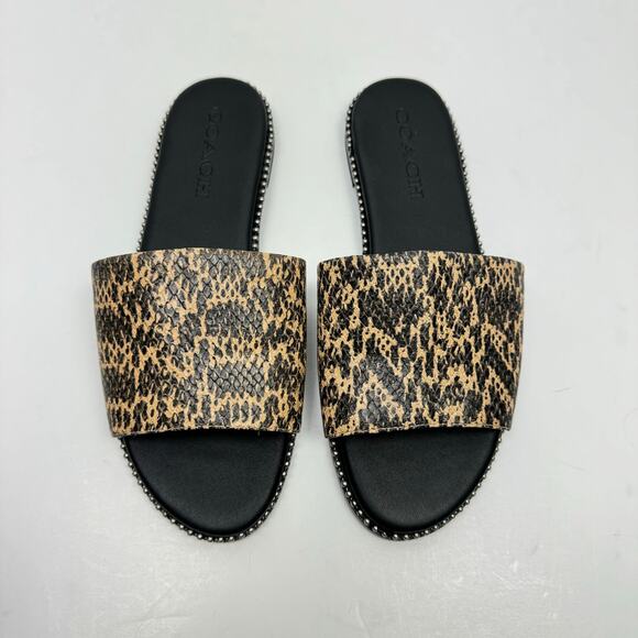 Coach | Women's Hayden Reptile Print Beadchain Flat Slide Sandals - Picture 2 of 10